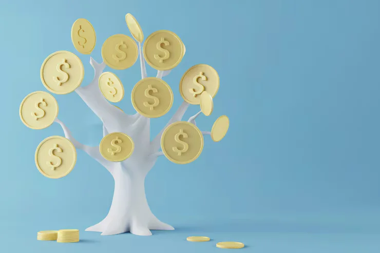 money6x.com investment